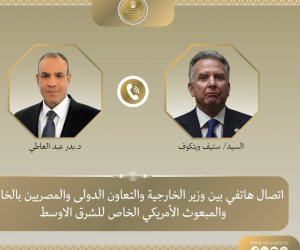 وزير الخارجية والمبعوث الأمريكي الخاص للشرق الأوسط يتبادلان الرؤى بشأن مستجدات الأوضاع فى الشرق الأوسط