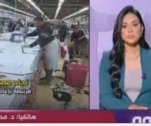 خبير اقتصادى: مصر الوجهة الأولى للاستثمار الأجنبى فى أفريقيا بنسبة تتجاوز 20%
