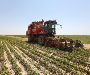 من استصلاح الأراضي إلى قيادة الاقتصاد الإنتاجي.. كيف أعاد جهاز مستقبل مصر رسم خريطة التنمية في مصر؟