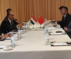 عبد العاطي يبحث مع نظيره الصيني سبل صون حرية الملاحة في مضيق هرمز