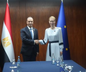 وزير الخارجية يبحث مع مسؤولة السياسة الخارجية بالاتحاد الأوروبي تعزيز الشراكة والتطورات الإقليمية