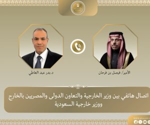 وزير الخارجية يبحث مع نظيره السعودي جهود خفض التصعيد في المنطقة