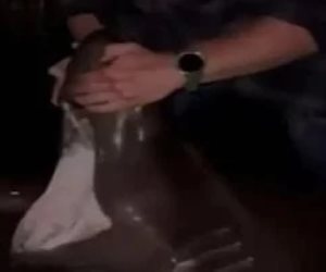 ضبط أمريكى استعرض صيد أنواع قروش ممنوع الاقتراب منها لحصد اللايكات.. فيديو
