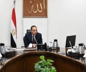 رئيس الوزراء: تنامي ظاهرة الكلاب الضالة يتطلب التعامل معها بصورة علمية ومنظمة