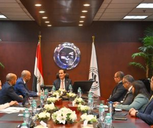 رئيس هيئة الاستثمار يبحث مع «موانئ دبي» خطط التوسع واستكشاف فرص استثمارية جديدة في مصر