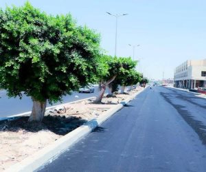 وزيرة الإسكان تتابع موقف مشروعات التطوير والبنية الأساسية والمرافق بمدينة السادات