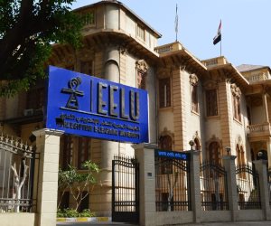الجامعة المصرية للتعلم الإلكتروني الأهلية..14 فرعا وبرامج دراسية تواكب احتياجات المستقبل