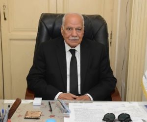 رئيس الحزب العربي الناصري: مصر حجر الزاوية في اتفاق غزة.. وتحركات القاهرة تحمي القضية الفلسطينية وتدعم استقرار المنطقة