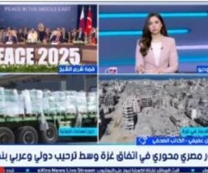 كاتب صحفي: الإشادات الدولية تؤكد الثقة في دور مصر المحوري لدعم القضية الفلسطينية