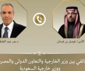 وزير الخارجية يبحث مع نظيره السعودي الأوضاع الإقليمية وجهود احتواء التصعيد