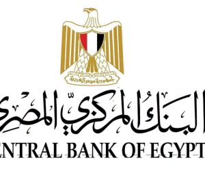 البنك المركزي يطلق البوابة الإلكترونية للجنة الاستقرار المالي الإفريقية بالتعاون مع جمعية البنوك المركزية الإفريقية