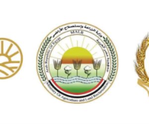 وزارة التموين والزراعة وجهاز مستقبل مصر يعلنون طرح السكر الحر بـ25 جنيها من الغد