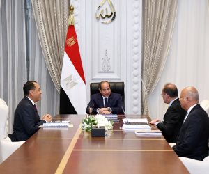 وزير المالية يستعرض مبادرات لتحفيز تحويل قطاع الصناعة للعمل بالطاقة الشمسية