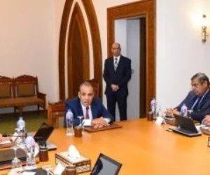 مصر ترحب بقرار روسيا فتح خطوط جوية مباشرة إلى برج العرب والعلمين