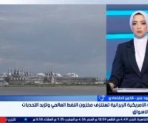 محمود عنبر: اتفاق إدارة مضيق هرمز يحقق استقرارًا نسبيًا في أسواق الطاقة