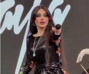 هيفاء وهبى بحفل استثنائى فى استكهولم.. صور