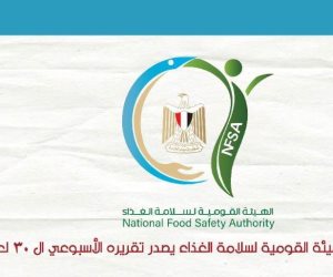 160 ألف طن صادرات غذائية خلال أسبوع.. السعودية تتصدر الأسواق المستقبلة للصادرات المصرية