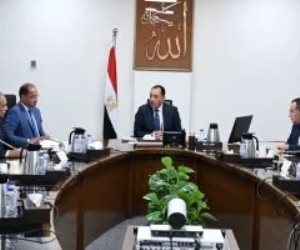 رئيس الوزراء يستعرض أبرز محاور عمل وزارة التعليم العالى للارتقاء بالمنظومة