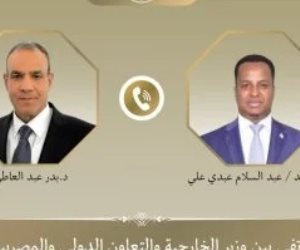 وزير الخارجية ونظيره الصومالى يبحثان تطورات الأوضاع بالصومال وتعزيز الشراكة
