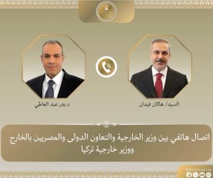 وزيرا خارجية مصر وتركيا يبحثان خفض التصعيد وتطورات غزة والضفة وسوريا