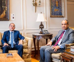 كجوك في حوار مفتوح مع رؤساء البعثات الدبلوماسية بالخارج: «اقتصادنا بدأ يتحسن.. والقطاع يستحوذ على 60% من الاستثمارات» 