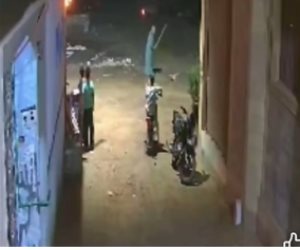 ضبط خفير خصوصى تعدى على كلب بعصا خشبية لعقر زوجته