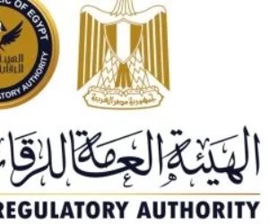 استغلال بيانات وفضيحة قروض.. إيقاف شركة تمويل استهلاكي وإقالة رئيسها التنفيذي