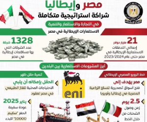 10 سنوات شهدت زيادة التبادل التجاري 11.9%.. وزيرا خارجية مصر وإيطاليا يؤكدان أهمية البناء على تطور العلاقات في مختلف المجالات