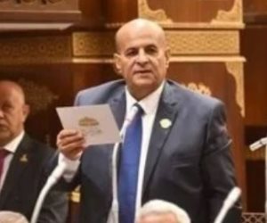 برلمانى: زيارة الرئيس الصيني تعكس مكانة مصر الدولية ودورها فى دعم الاستقرار