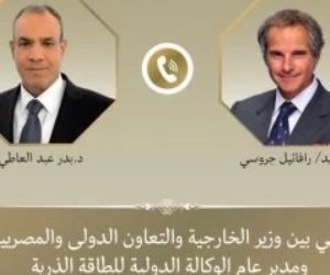 وزير الخارجية يبحث مع مدير الوكالة الدولية للطاقة الذرية تعزيز التعاون