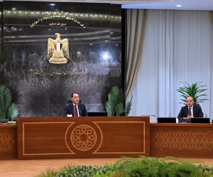 رئيس الوزراء: العام المالي 2025/2026 شهد تحقيق معدل نمو 5.1% وهذه النتائج تعكس صلابة الاقتصاد المصري
