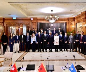 الاجتماع التأسيسي لمنظمة "أفروساي - العربية تختار مصر لتولي رئاسة المنظمة في دورتها الأولى