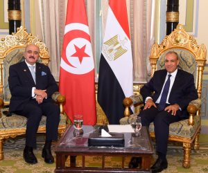 وزير الخارجية يلتقي نظيره التونسي بالقاهرة 