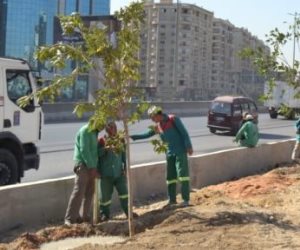 محافظ القاهرة: خطة علمية ومجتمعية لزيادة المسطحات الخضراء والحد من التلوث