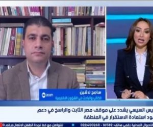 سامح لاشين: مصر تستخدم منصة بريكس لطرح القضية الفلسطينية