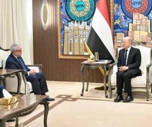 سفير مصر في اليمن: ندعم الشرعية مُمثلًة في مجلس القيادة الرئاسي والحكومة
