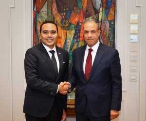 وزير الخارجية يستقبل وزير الدولة السنغافوري للشئون الخارجية والداخلية