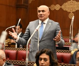 عضو بالشيوخ: القاهرة والرياض أمام مسؤولية مشتركة لتعزيز التعاون وحماية الاستقرار الإقليمي