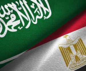 عضو مجلس النواب: وحدة الرؤى بين مصر والسعودية تعزز قدرة العرب على مواجهة أزمات المنطقة