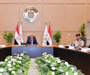 وزير الرى يترأس اجتماع اللجنة العليا لتراخيص الشواطئ بحضور ممثلي الوزارات والمحافظات والجهات المعنية 