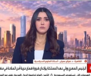 أستاذ علوم سياسية: التوافق المصرى السعودى يمثل صمام أمان لأمن المنطقة