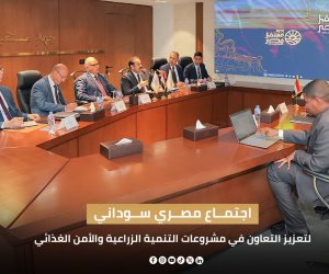اجتماع مصري سوداني لتعزيز التعاون في مشروعات التنمية الزراعية والأمن الغذائي