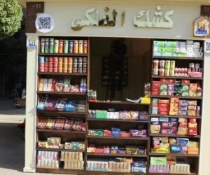 ​محافظ القاهرة يعلن بدء منظومة الأكشاك الموحدة و3 أشهر لتوفيق الأوضاع .. اعرف التفاصيل 