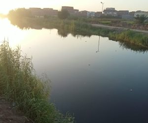 وزيرة التنمية المحلية والبيئة توجه بتكثيف التحركات الميدانية بمصرف الزوامل ببلبيس للتحقق من ظهور تمساح وتأمين المواطنين