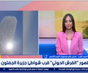 مدير محميات البحر الأحمر لإكسترا نيوز  .. القرش الحوتى مسالم ولا يمثل خطورة