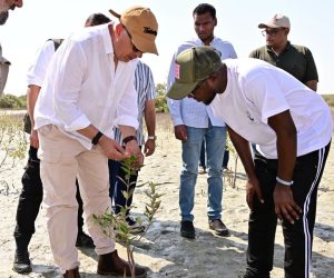 وزير الرى يشارك في الانتهاء من زراعة 50 ألف شجرة منجروف بمنطقة حماطة بمحافظة البحر الأحمر