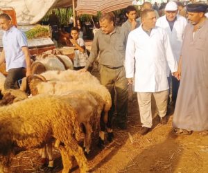 محافظ الجيزة يتابع نتائج الحملة القومية الثانية للتحصين ضد الحمى القلاعية وحمى الوادي المتصدع
