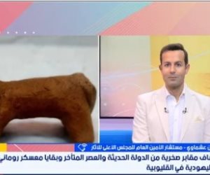 أيمن عشماوى عن الكشف الأثرى الجديد.: كان حصنًا أماميًا للهكسوس وسيطر على طرق الوصول