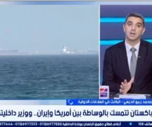 باحث: التحركات المصرية الباكستانية تستهدف احتواء التصعيد بين واشنطن وطهران