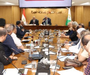 محافظ الجيزة يتابع تنفيذ مشروعات الخطة الاستثمارية للعام المالي (2026/2027)
